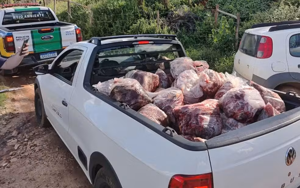 Operação flagra abate ilegal de cavalos em área rural do Sul de Minas