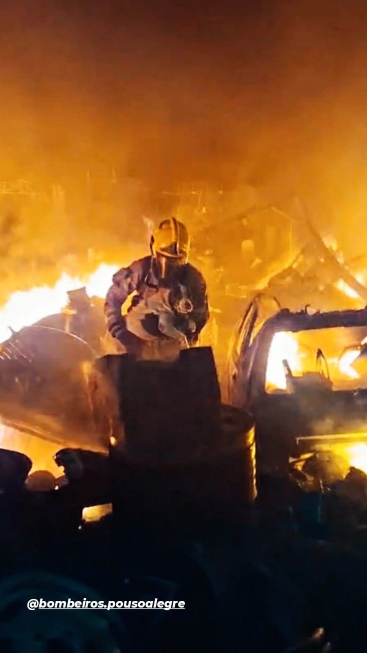 Cadela é salva durante incêndio em oficina em Pouso Alegre