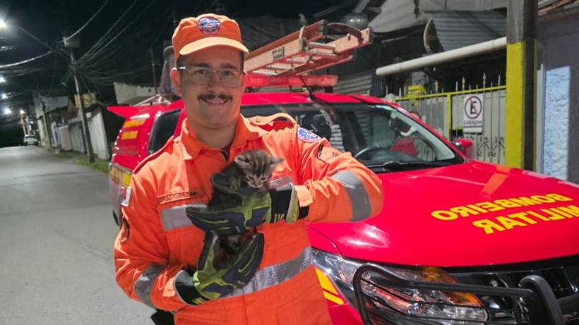 Bombeiros salvam filhote de gato preso em galeria em Pouso Alegre, no Sul de Minas